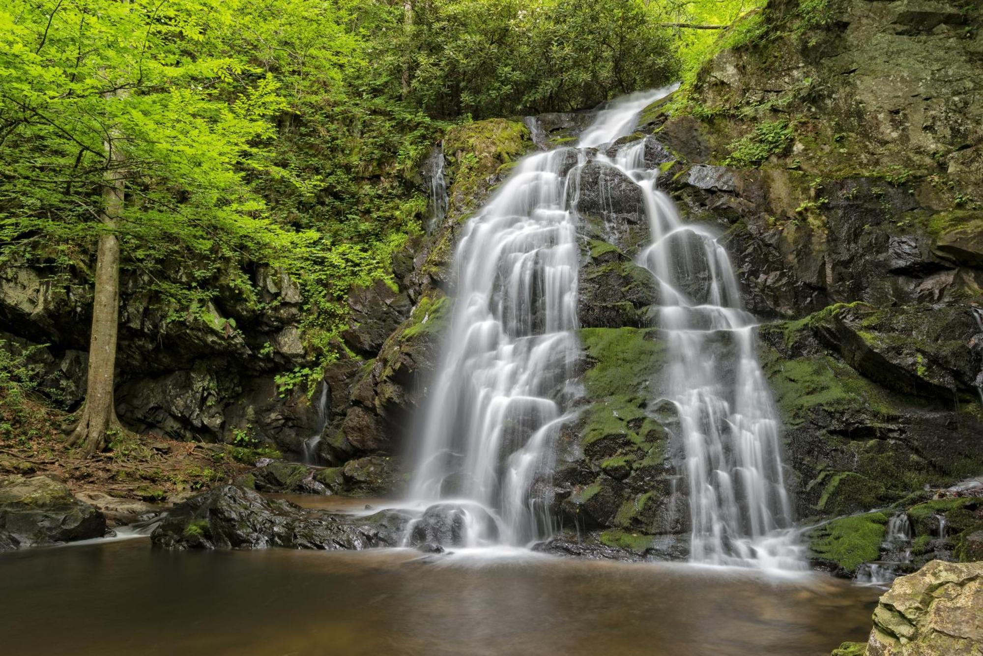 Smoky Mountain Gem Villa Gatlinburg Dış mekan fotoğraf