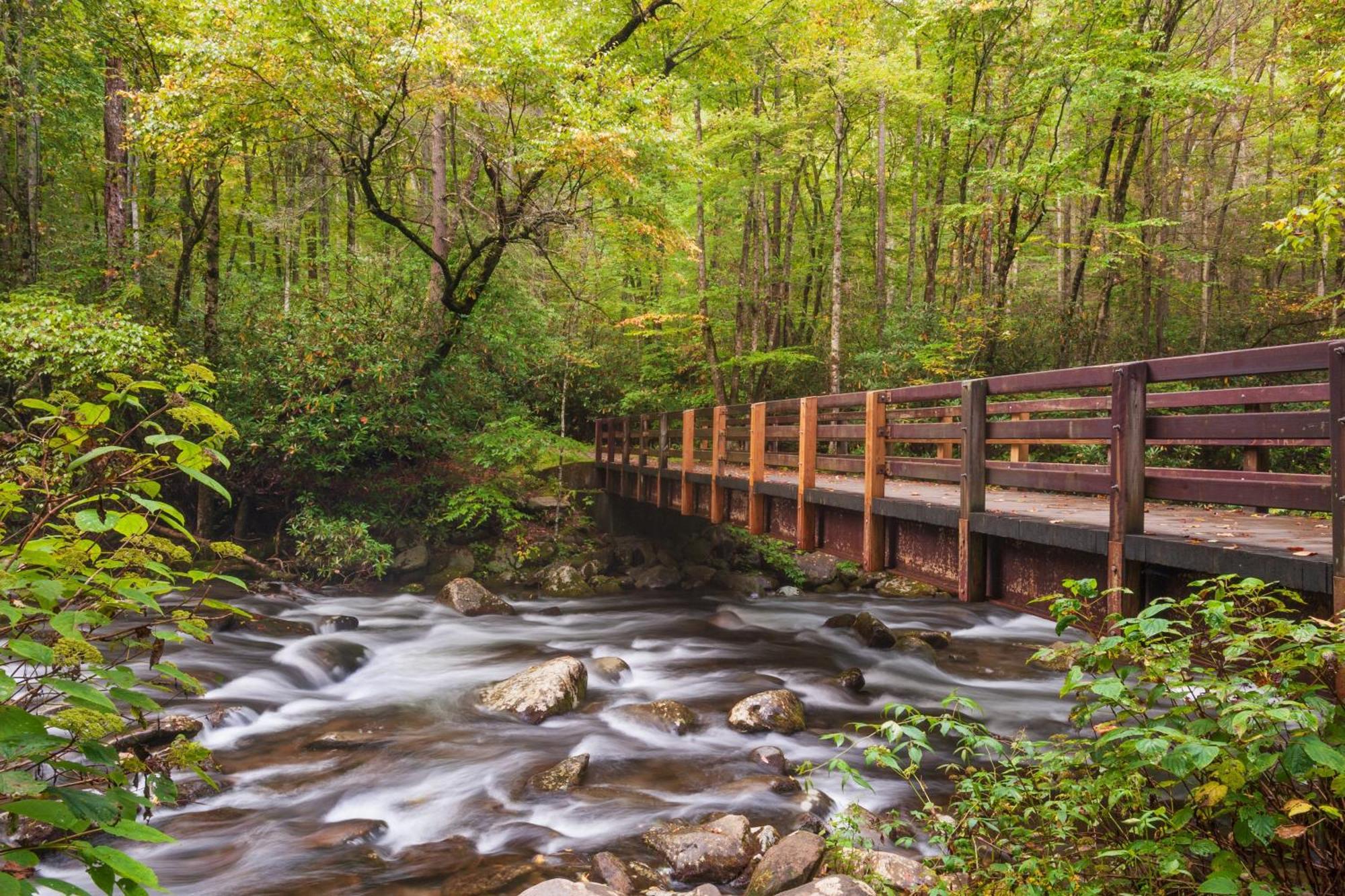 Smoky Mountain Gem Villa Gatlinburg Dış mekan fotoğraf